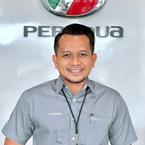 perodua sales abg wan